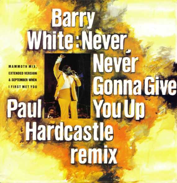 Never, Never Gonna Give You Up (Paul Hardcastle Remix)