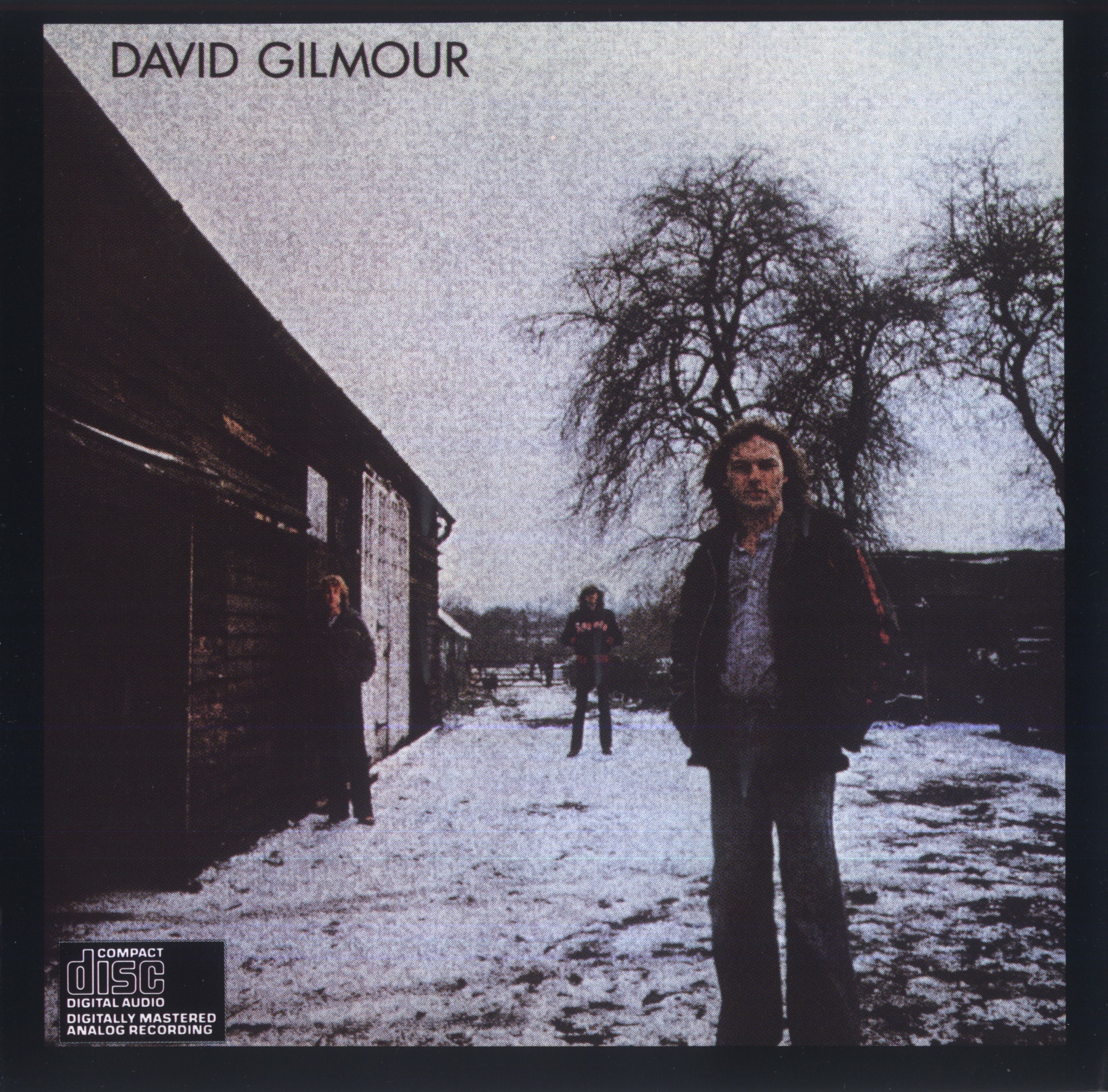 David Gilmour