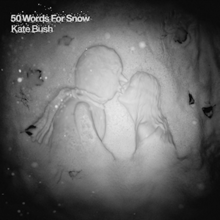 50 Words for Snow