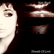 Hounds of Love