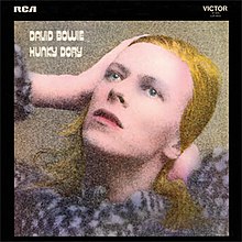 Hunky Dory