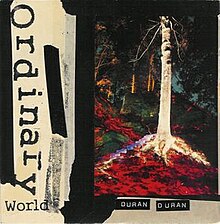 Ordinary World