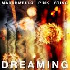 Dreaming Dreaming
