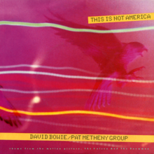 This Is Not America  (with Pat Metheny Group) 